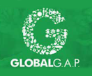 brand global gap