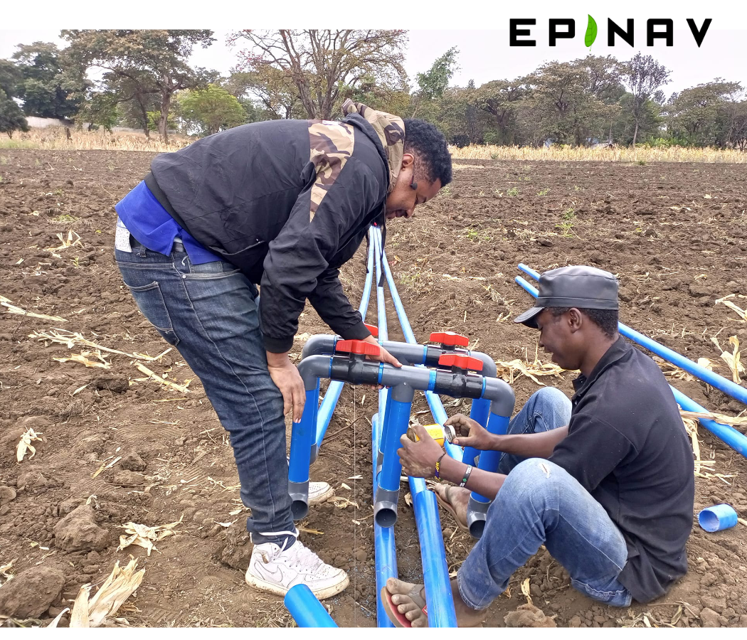 Drip irrigation installation process