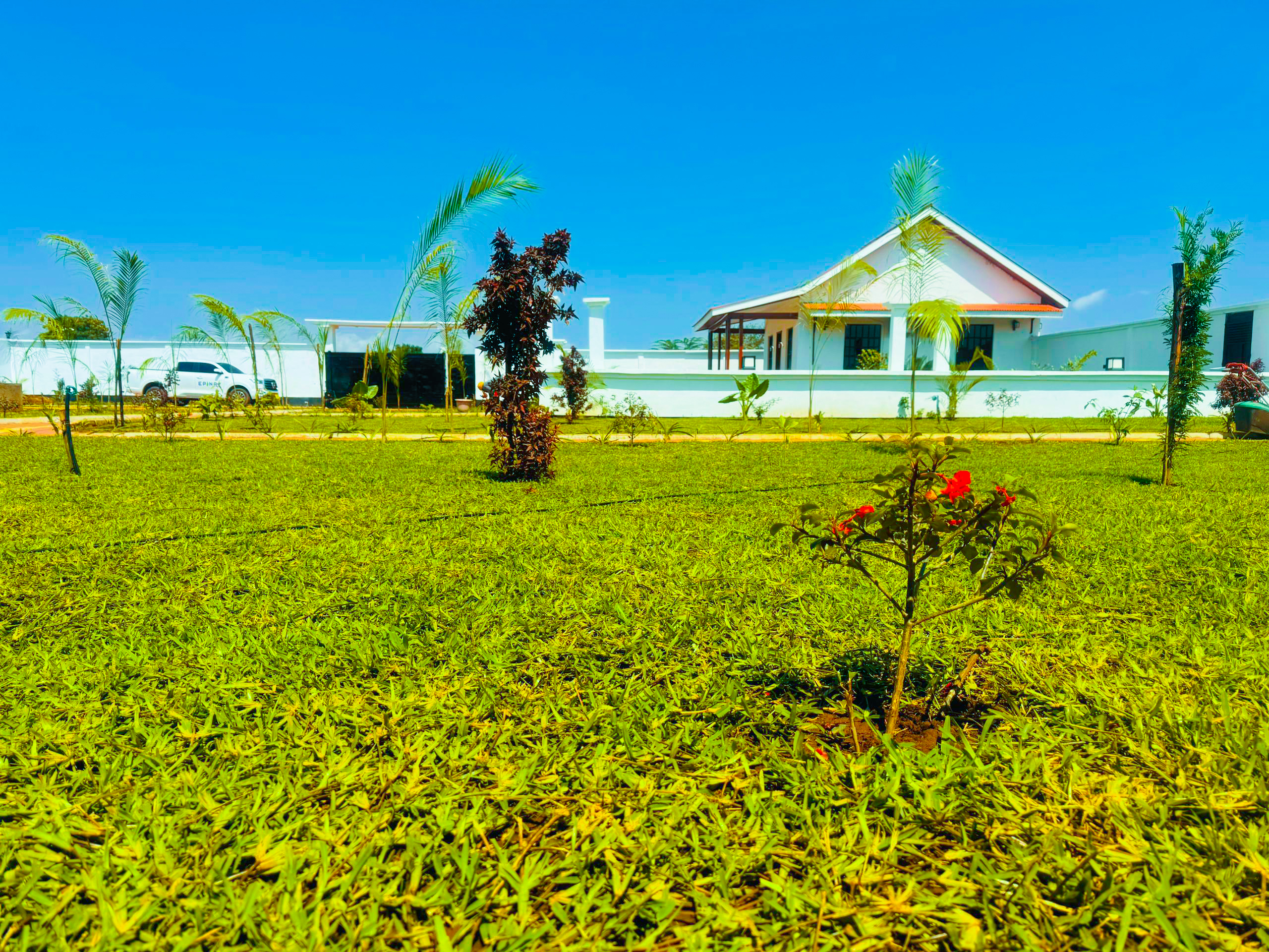 PRACTICAL AGRICULTURE ACADEMY