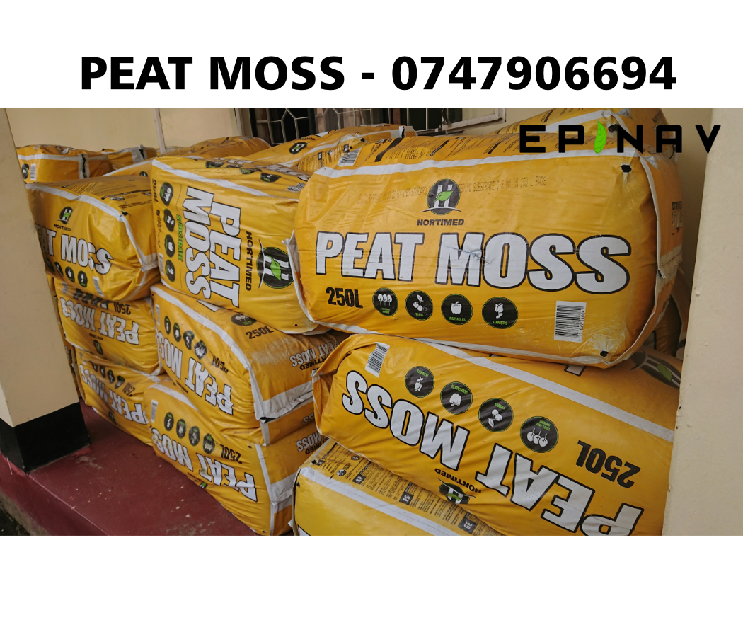 Special Planting soil Peat Moss