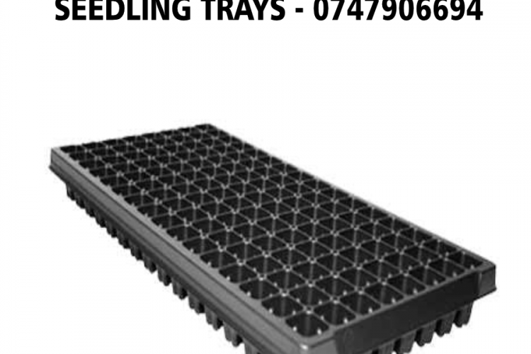 TRAYS