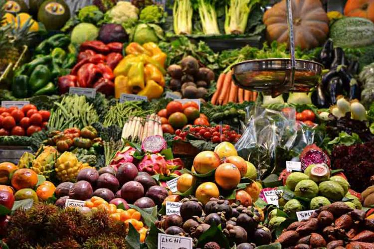 Export of Agriculture Produce