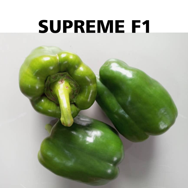SUPREME
