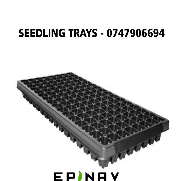 TRAYS